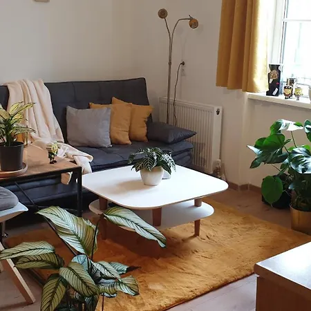 Fancy In Town Homestay Salzburg